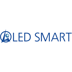 LED SMART INC