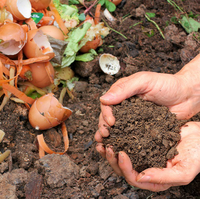 Disposal ban to play key role in Food and Organic Waste Action Plan