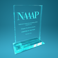 NAAAP-KC received the 2019 Chapter of the Year Award