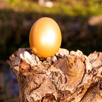 Golden Egg Challenge