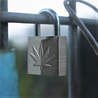 Cannabis Dispensary Security Precautions