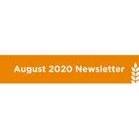 August E Newsletter 2020