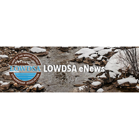 LOWDSA Holiday greetings 2020