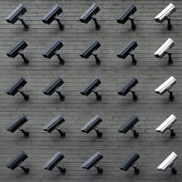 Have We Reached Peak Privacy?