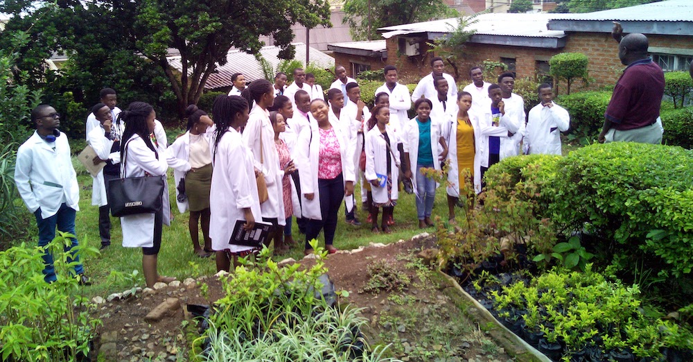 Students in a medicinal garden in Malawi