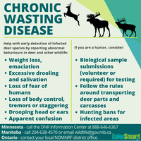 Chronic Wasting Disease in Manitoba: What it Means for Northwestern Ontario