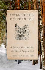 Book cover of Owls of the Eastern Ice