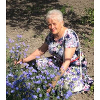 Vira's Mother's Day Wish: To Again Plant Roses in Ukraine