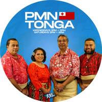 Friends of Tonga President Michael Hassett interviewed on PMN Tonga!