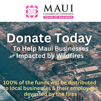 Maui Wildfire Disaster Update 8/14