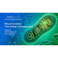 December Functional Forum: Mitochondria: The Great Orchestrator