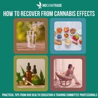 MoCann's Health Education & Training Committee: How to Recover from Cannabis Effects