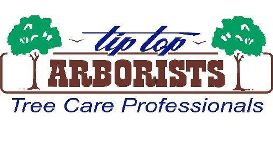 Top Arborists in Offaly