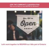 Kenora & District Community Conversation - working together to reopen for business